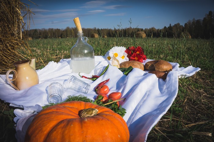 Picnic with Pumpkin, Bread, and Vodka in a Field