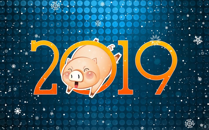 2019 New Year Pig Snowflakes