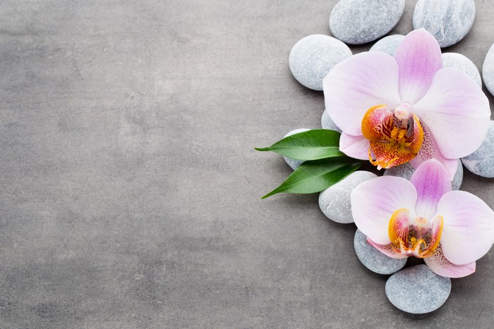 Orchids and spa stones on gray background
