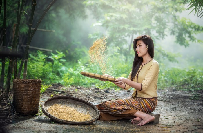 4K Image of Woman Sitting and Sorting Grain