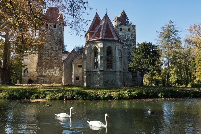 Castle ruins with swans on a lake in autumn