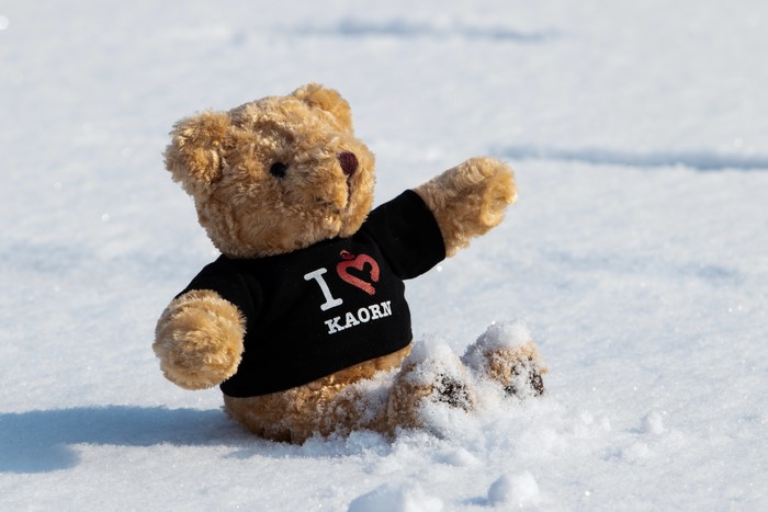 Teddy bear in snow wearing "I Love Kaorn" shirt