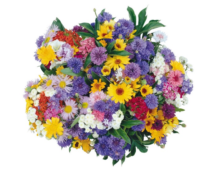 Bouquet of colorful wildflowers