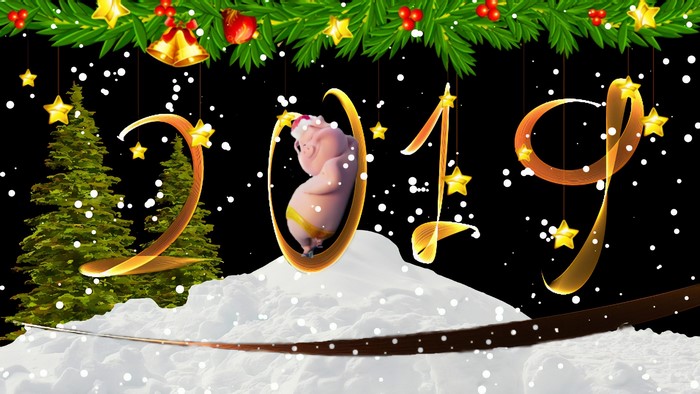2019 New Year's Eve with Pig and Christmas Tree