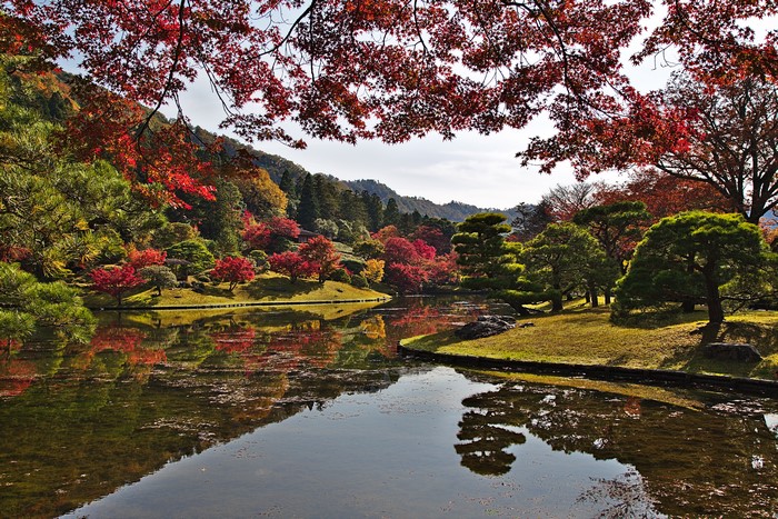 Autumn park with pond and red maple trees in Kyoto, Japan