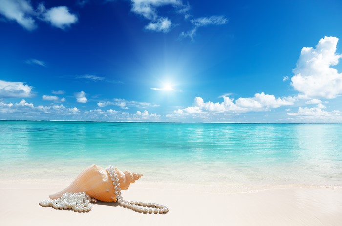 Seashell with pearls on a tropical beach