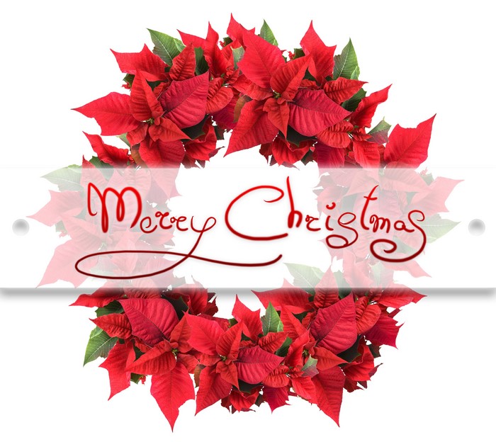 Merry Christmas Poinsettia Wreath