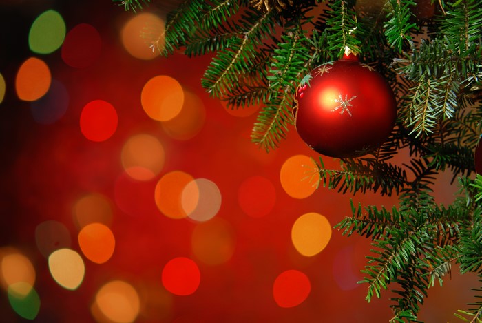 Christmas tree branch with red ornament and bokeh lights