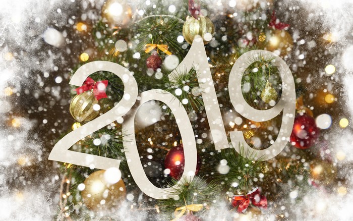 2019 New Year Christmas Tree Snow