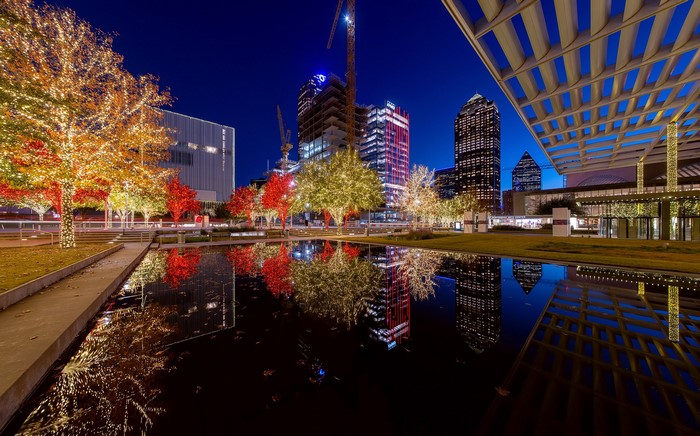 Dallas skyline with trees decorated with fairy lights at night