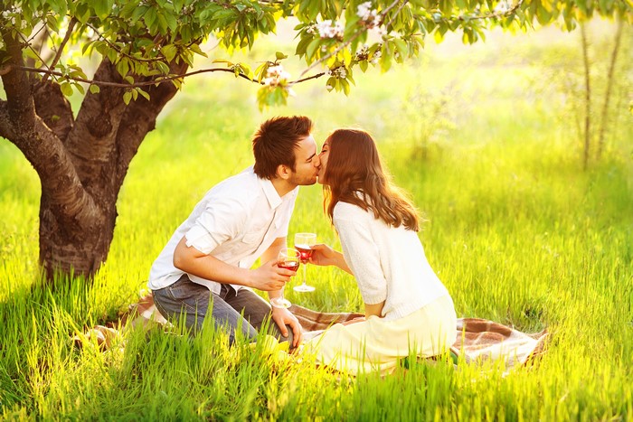 Couple kissing during a picnic with wine
