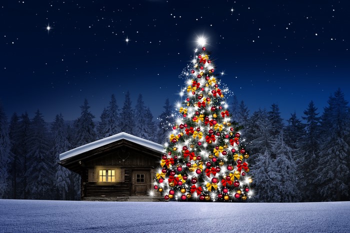 4K Christmas tree and cabin in snowy forest at night