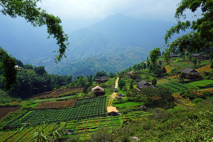 Muong Hoa Valley Sapa Vietnam Fields and Houses