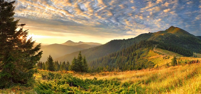 4K Mountain Scenery with Trees at Sunrise