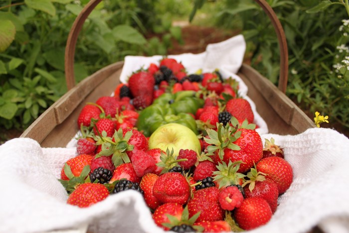 Basket of Strawberries, Raspberries, and Apple