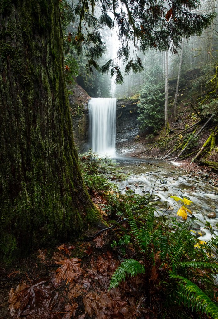 Waterfall in Mossy Forest at Benson Creek Falls Regional Park
