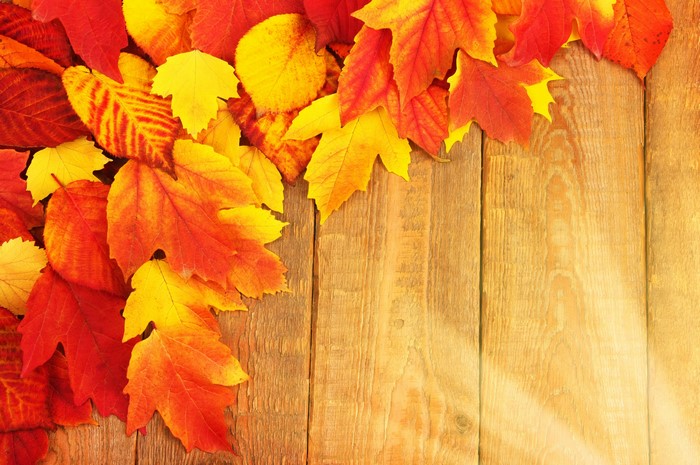 Autumn Leaves on Wood Planks