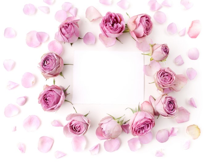 Pink Roses and Petals Around a Square Card