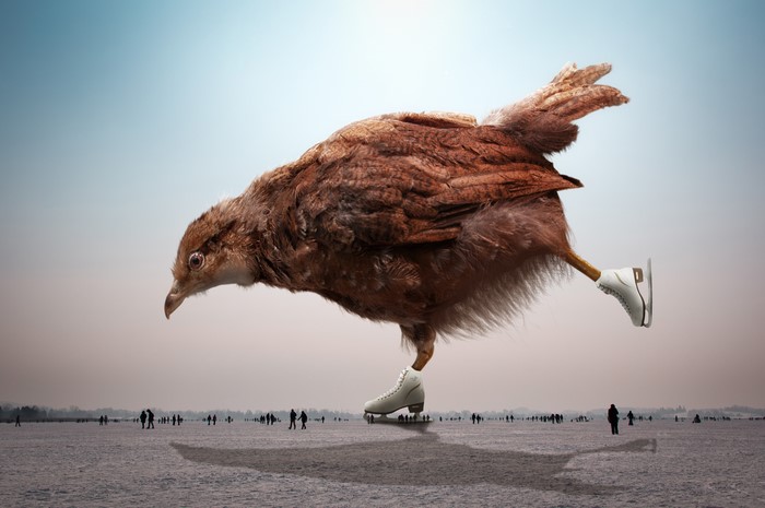 Chicken ice skating on a frozen lake