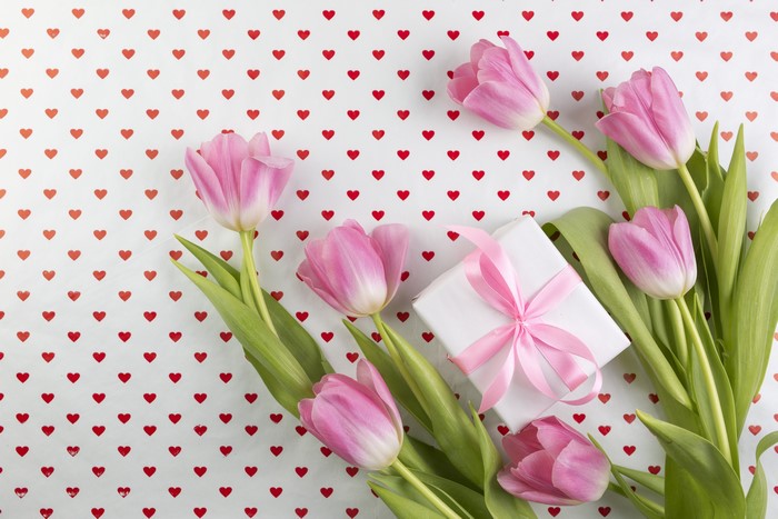 Pink Tulips and Gift on Heart Pattern