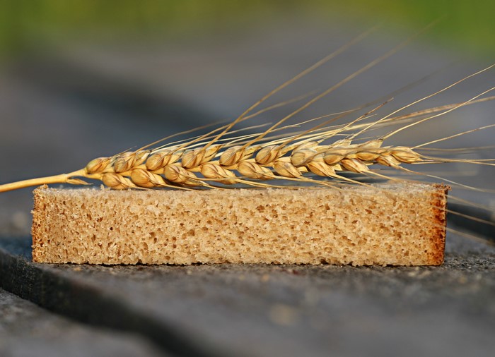 Slice of bread with wheat stalk
