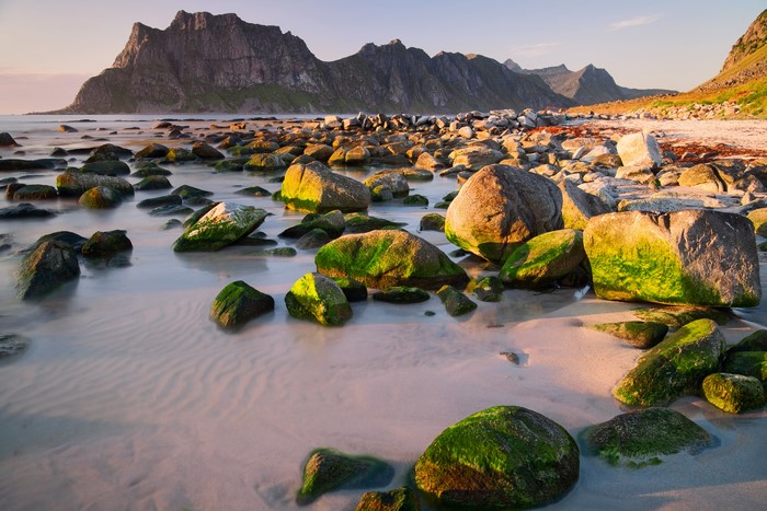 4K Norway Lofoten Mountains Coast Stones Moss