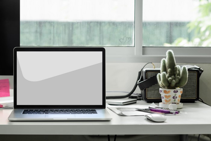 Laptop and Cactus on a Desk