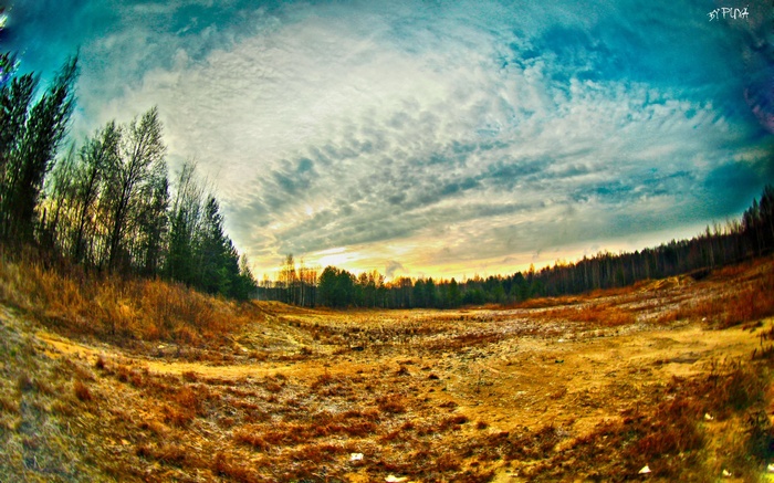 Wide angle view of a field with trees and sky