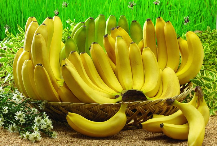Bananas in a basket with grass background