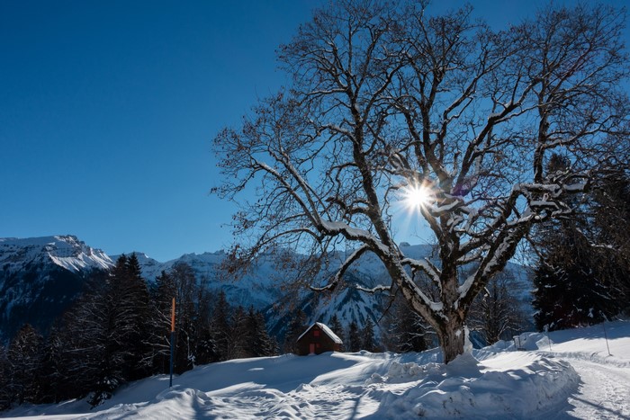 Winter scene in Braunwald, Switzerland with snow-covered mountains and trees