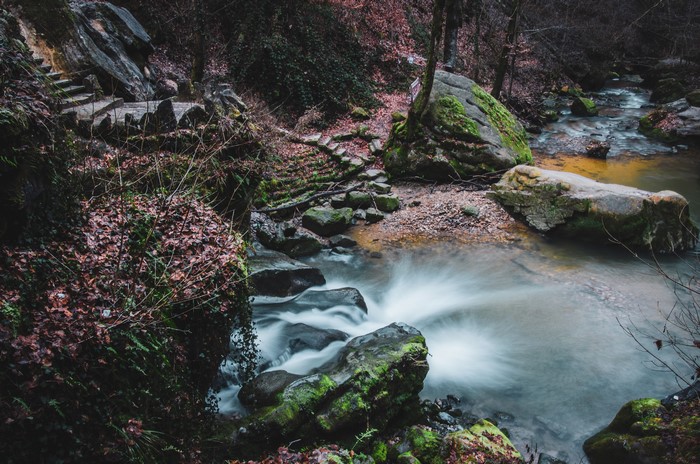 Schiessentumpel Cascade waterfall in Luxembourg with mossy stones