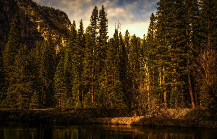 Forest and Mountain by River in Yosemite