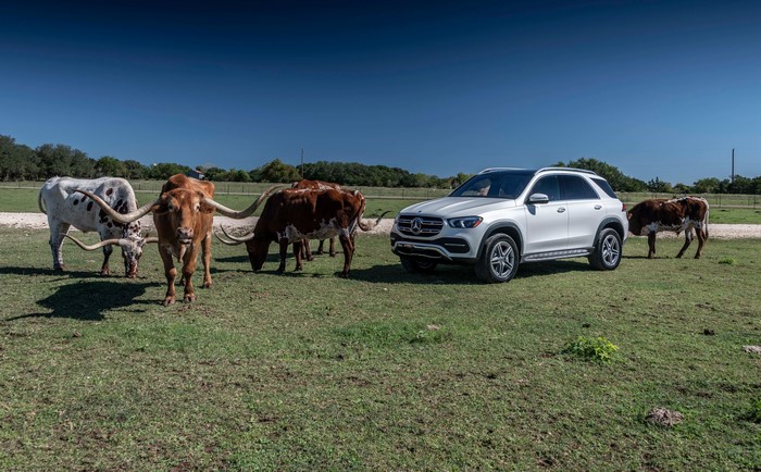 2019 Mercedes-Benz GLE 450 4MATIC with Longhorn Cattle