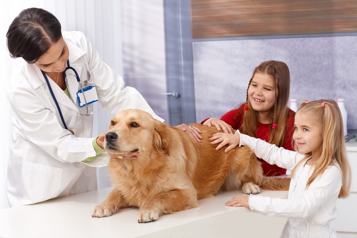 Veterinarian with Golden Retriever and Two Girls