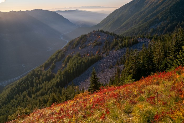 Mountain valley with autumn foliage and forest