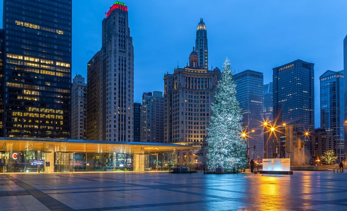 Chicago city Christmas tree in the evening