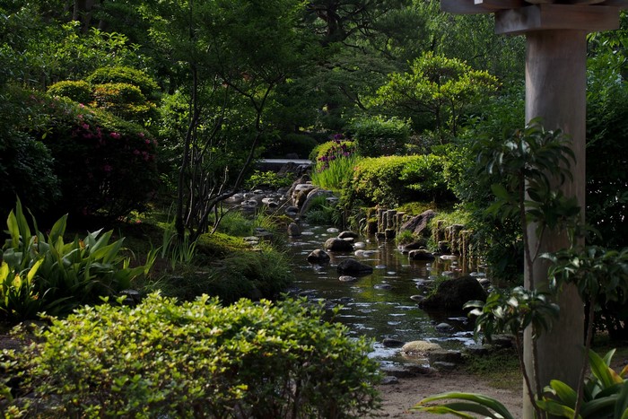 Japanese garden with stream and stones in Kanazawa, Japan