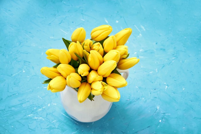 Yellow Tulips in a White Vase