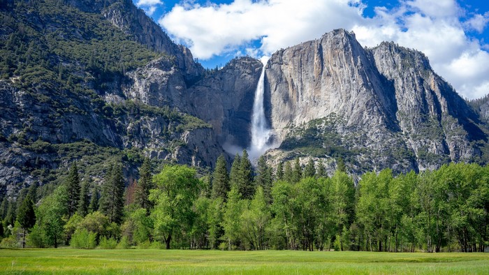 Yosemite National Park Waterfall in California