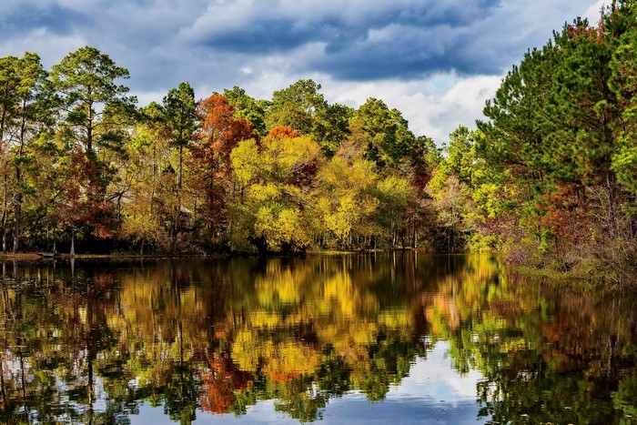 Autumn trees reflected in a lake under a cloudy sky
