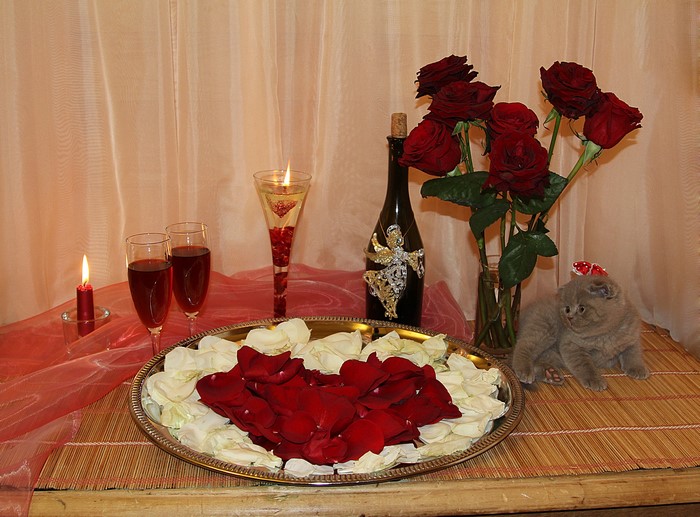 Romantic Valentine's Day setting with roses, candles, wine, and a kitten