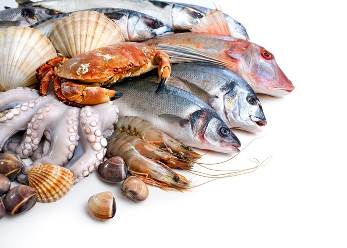 Fresh Seafood Selection on White Background 4K