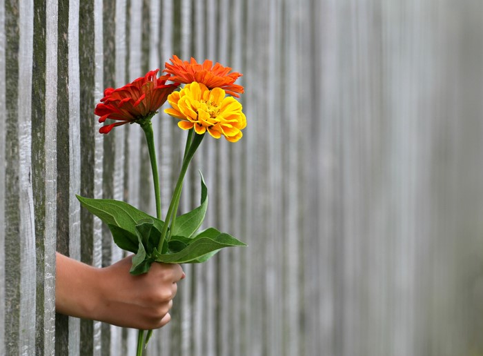 Hand holding bouquet of flowers through a fence