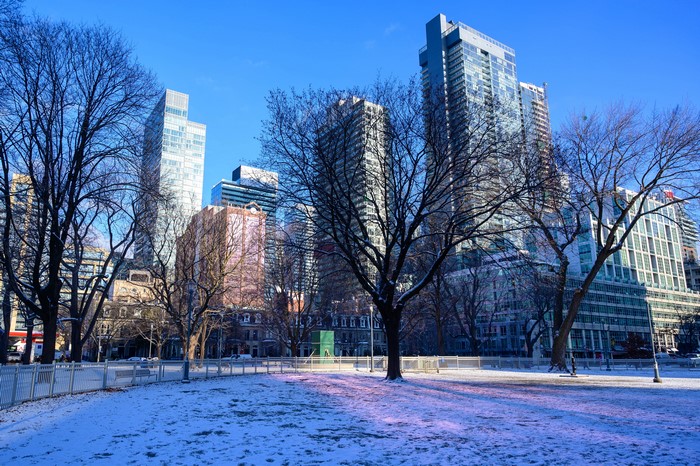 Toronto park with snow and skyscrapers in winter