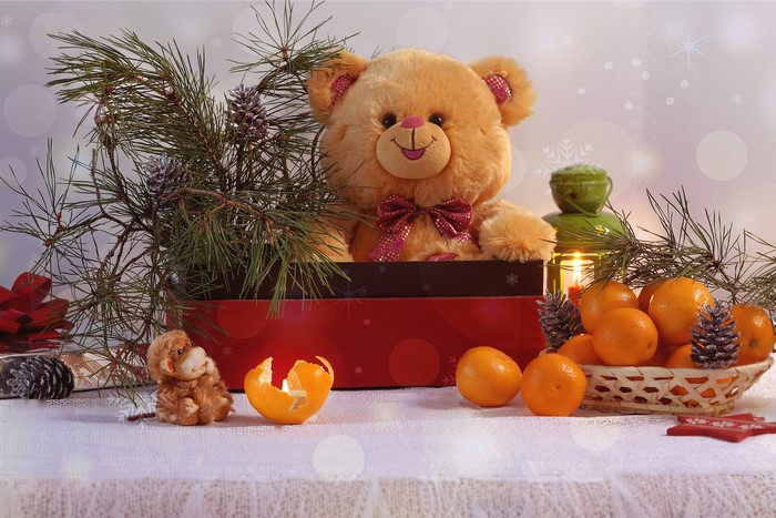 Teddy bear with mandarins and pine cones