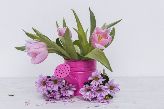 Pink Tulips and Chrysanthemums in a Watering Can