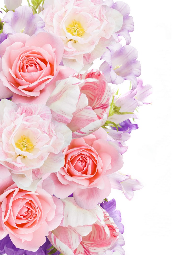 Pink roses, tulips, and campanula flowers