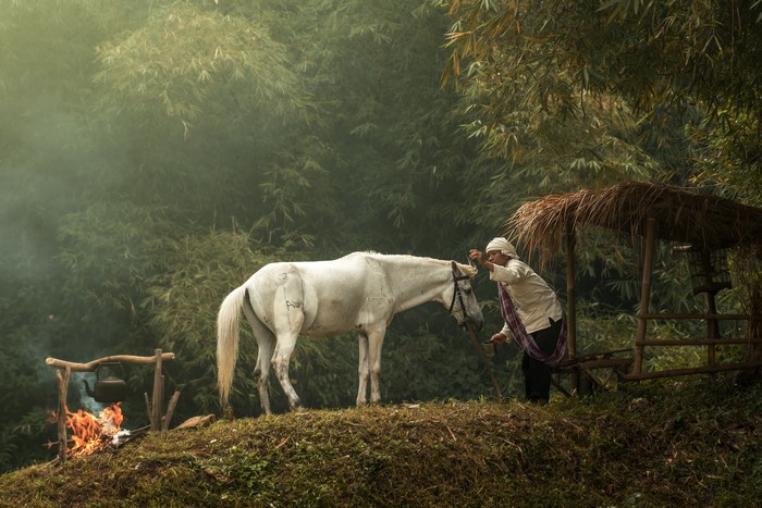 Man with white horse near fire and shelter