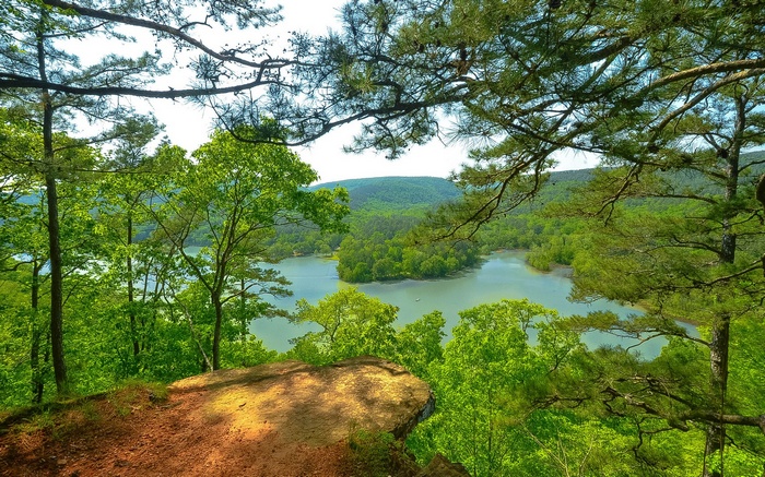 View of a lake through trees from a cliff