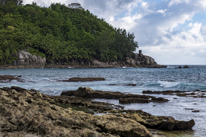 4K Petite Police Beach Seychelles Tropics Coast Forests Crag